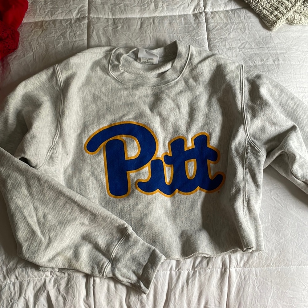 Cropped Pitt crewneck , heather gray